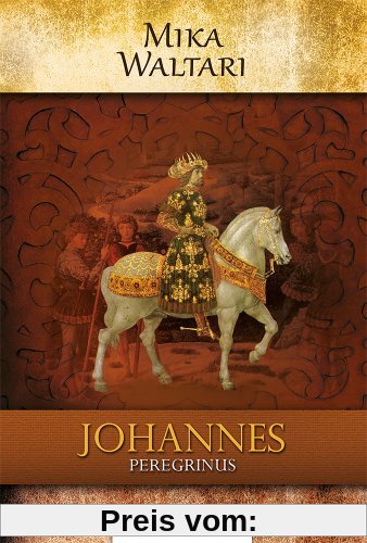 Johannes Peregrinus: historischer Roman